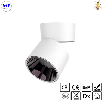 IP43 3years Warranty adjustable LED Down Light with surface mount For Shopping Mall Homeusage