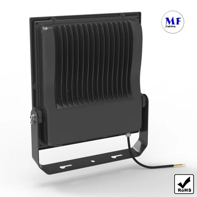 5000K LED Flood Light 100W 130lm/W IP66 Outdoor Waterproof IK10  For Tunnel And Stations