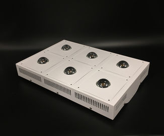 CREE CXA2530 CXB3590 Led Grow Lights , Full Spectrum Sun Spectrum Hydroponic Grow Lights