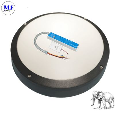 IP40 15W Panic Light Ballast UL Listed LED Emergency Driver For Ceiling Light