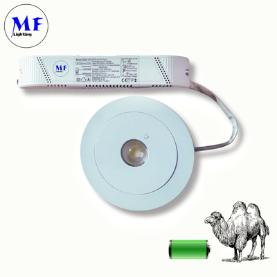 IP43 LED Emergency Spot Ceiling Down Light 3W Recessed Mount Downlights