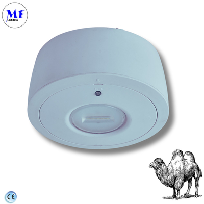 Emergency Downlight Emergency LED Down Light  8W 50000-Hour LED2835 Array Recessed Surface Mount Options For Versatile Installation