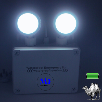 Rechargeable Abs Led Exit Emergency Light Non Maintained Ip65 2*5w Lithium Battery Adjustable For Corridors