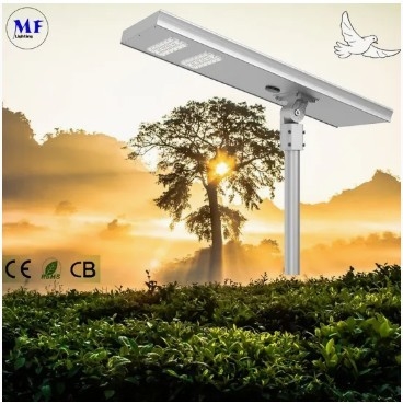 LED Solar Street Garden Light Motion Sensor White Silvery 120W 100W 80W Alu. IP66 Footway Villa Courtyard