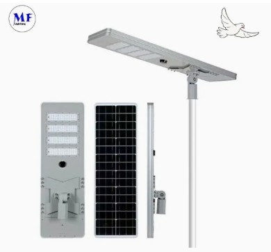 LED Solar Street Garden Light Motion Sensor White Silvery 120W 100W 80W Alu. IP66 Footway Villa Courtyard