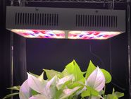 190W CREE COB+ 3W LED Chip Full Spectrum+UV+IR Grow light