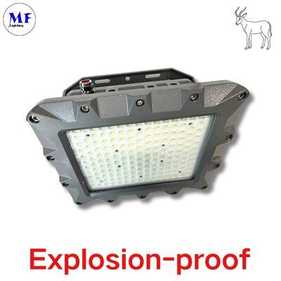 Factory Price Oil Gas Chemical Marine Mining Industry Iecex ATEX Die-Casting Aluminum IP66 Ik08 5years Warranty LED Explosion-Proof Flood ATEX Certified Light