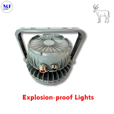Factory Price ATEX Certified Explosion Proof Flood Light, Oil Gas LNG Chemical Plant Minging LED Explosion Proof Highbay Light, IP66 Ik08 Die-Cast Aluminum