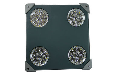 TUV-GS CB UL DLC 5Years Warranty 60W 100W 150W Gas Station LED explosion proof Light