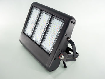 High Lumen Industrial RGB LED Flood Lights / Outdoor LED Sport Lights For Playground