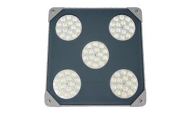 5500K Pure White IP66 100W  LED Explosion proof lights for gas station