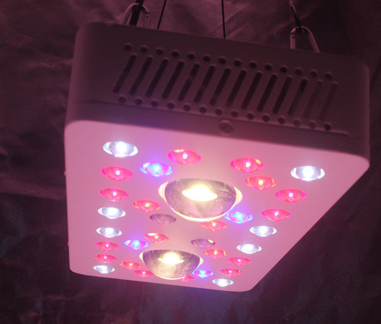 LED Grow Lighs 205W