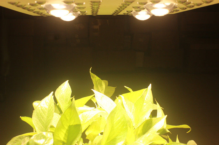 415W LED Grow Lights Full Spectrum Growing From Vegetate To Bloom , Grow Rooms / Tents