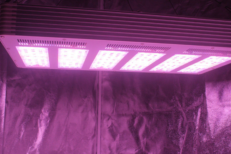 1.5g/watt 630W  LED Growing Light  with full spectrum For Plants Growth