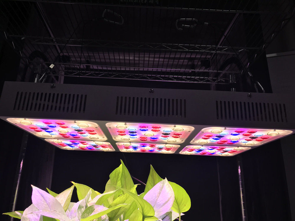 570W Full Spectrum LED Grow Lights CREE COB