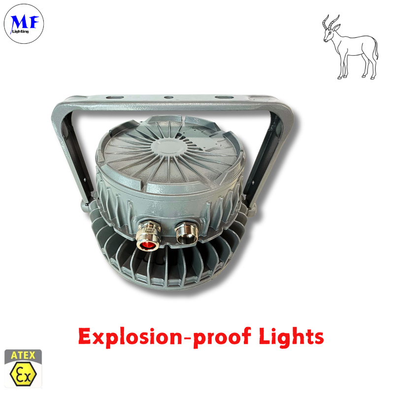 IP66 IK08 5 years warranty Various installation ways  Ra>80 ATEX Certified Die-Cast Aluminum Explosion Proof highbay Ligh
