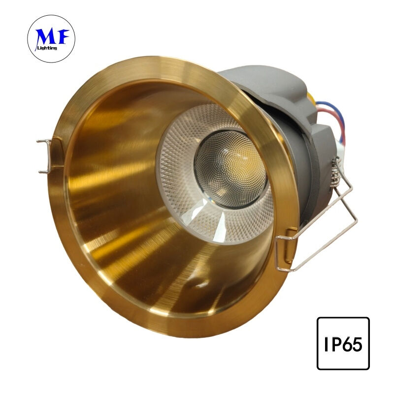 5years Warranty IP65 Waterproof Power CCT Dim Triac 0-10V Dali Zigbee Bluetooth Recessed White 10W/12W/15W/20W/25W/30W Downlight LED Down Light