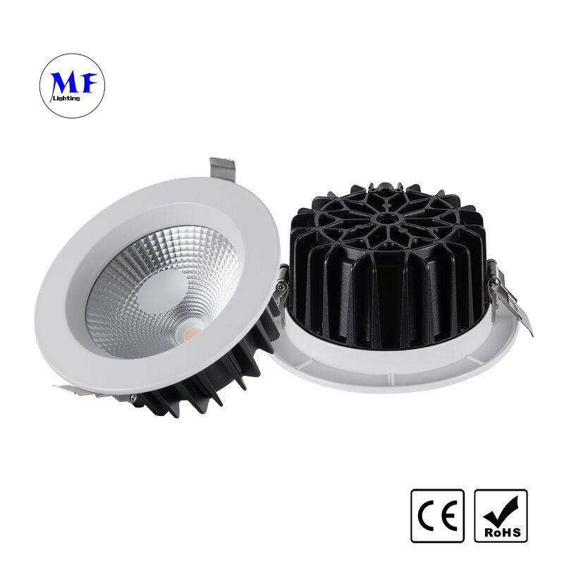 Factory Price COB LED Recessed Downlight 30W Triac 0-10V Dali-2 Dt6 Dt8 Dimmable Tuya Zigbee Tuya WiFi Smart Control Ugr<19 Die-Cast Aluminum Ceiling Down Light
