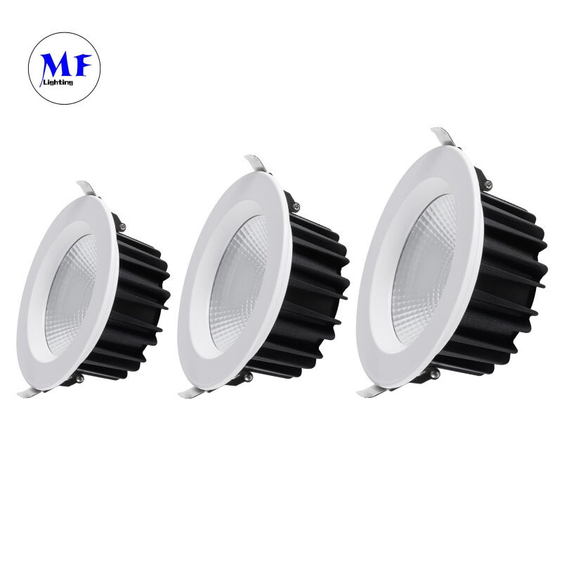 Factory Price COB LED Recessed Downlight IP40 Milky PC Diffuser 60° Beam Angle Triac 0-10V Dali-2 Dali Dt8 Tuya Zigbee Dimmable 10W Down Light
