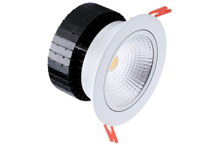 High Flux White 50w COB Led Down Light RAL9003 Led Commercial Downlights