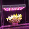 Full Spectrum Led Indoor Grow Lights For Garden Greenhouse Plant Led Growing Lights